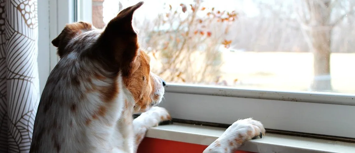 Підвіконня