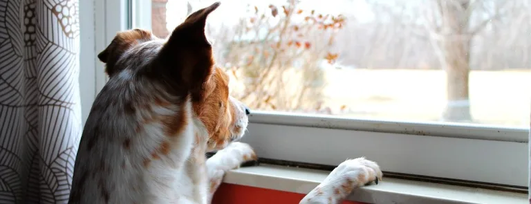 Підвіконня