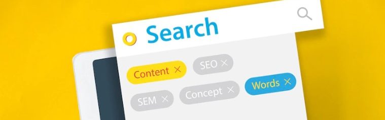 When Did the First Internet Search Engine Appear?